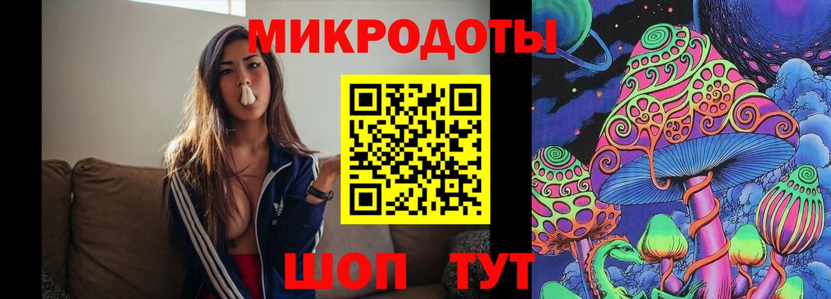 Псилоцибиновые грибы Cubensis Вятские Поляны
